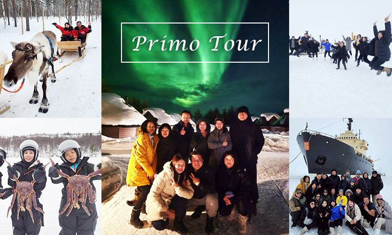 菁選旅遊北歐極光